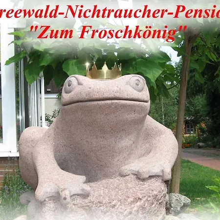 Πανσιόν Zum Froschkoenig 3*