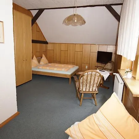 Zum Froschkoenig 3* Lübbenau