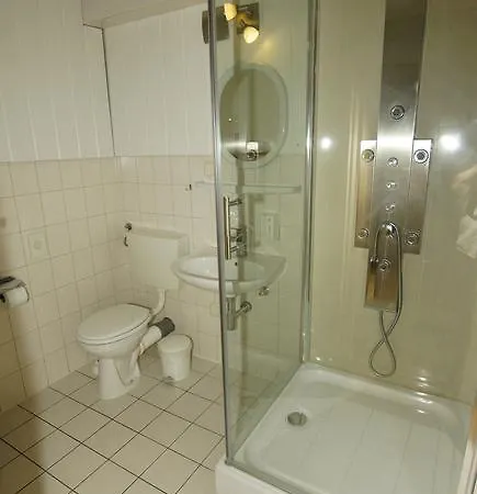 Zum Froschkoenig Πανσιόν 3*