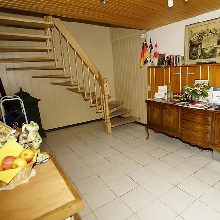 Pensionat Zum Froschkoenig 3*