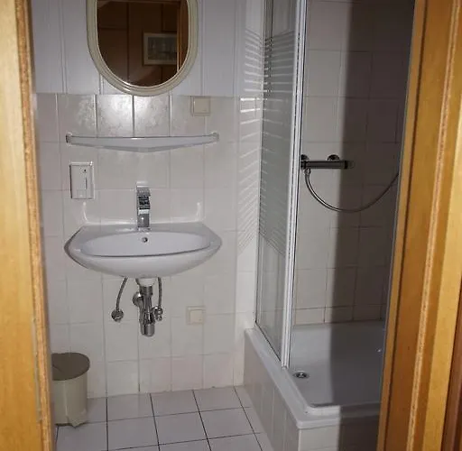 Zum Froschkoenig Pensionat