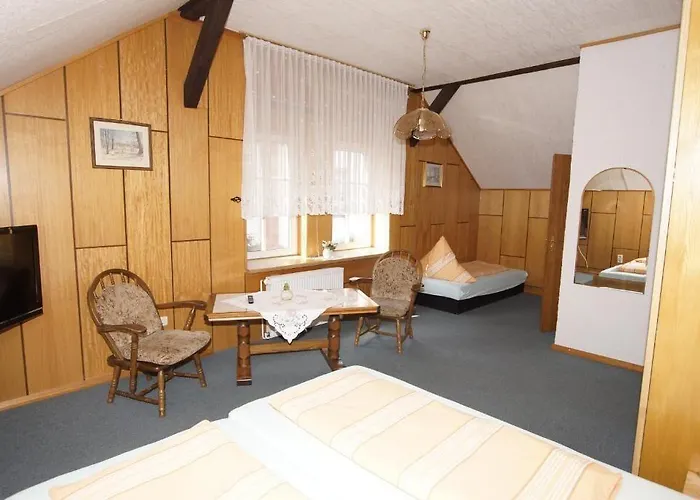 Zum Froschkoenig Pensionat 3*