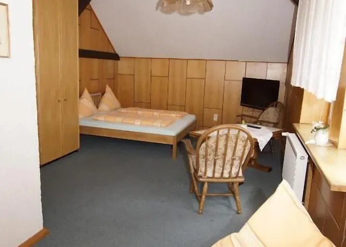 Zum Froschkoenig Гостевой дом