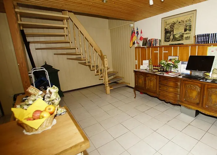 Pensionat Zum Froschkoenig 3*