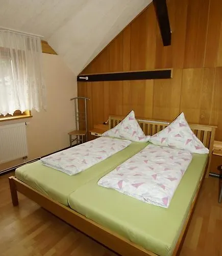 Zum Froschkoenig Pensionat 3*